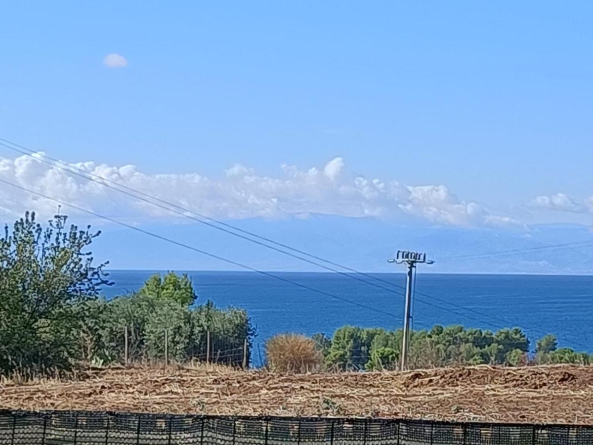 La Taverna Di Angela Амендолара Экстерьер фото